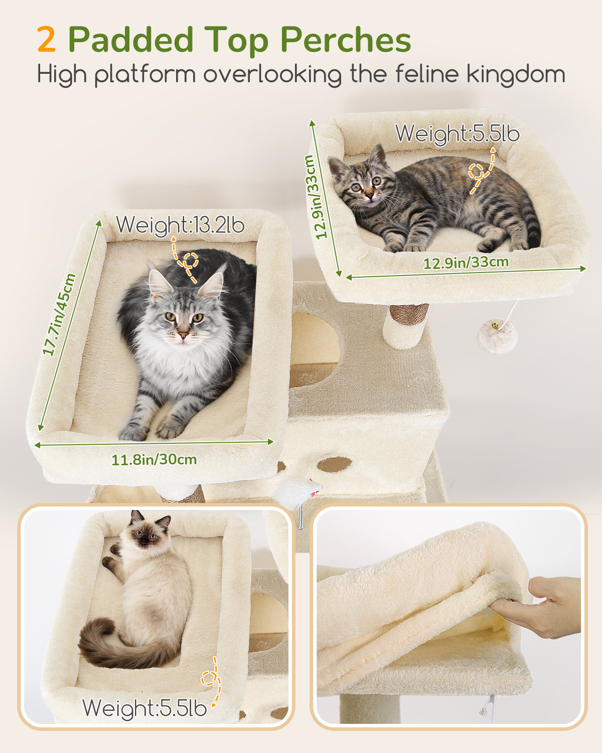 Globlazer Heavy Duty Cat Tree Tower 80in Tall Extra Large Cat Tree Tower for Multiple Indoor Cats Large Adult with Scratching Posts, 2 Spacious Condos, Padded Perches, Soft Hammock, S80B, Beige